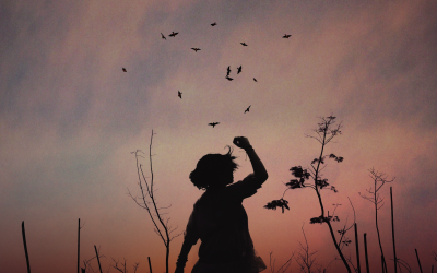 4 Ways the Night Sky Changed Me