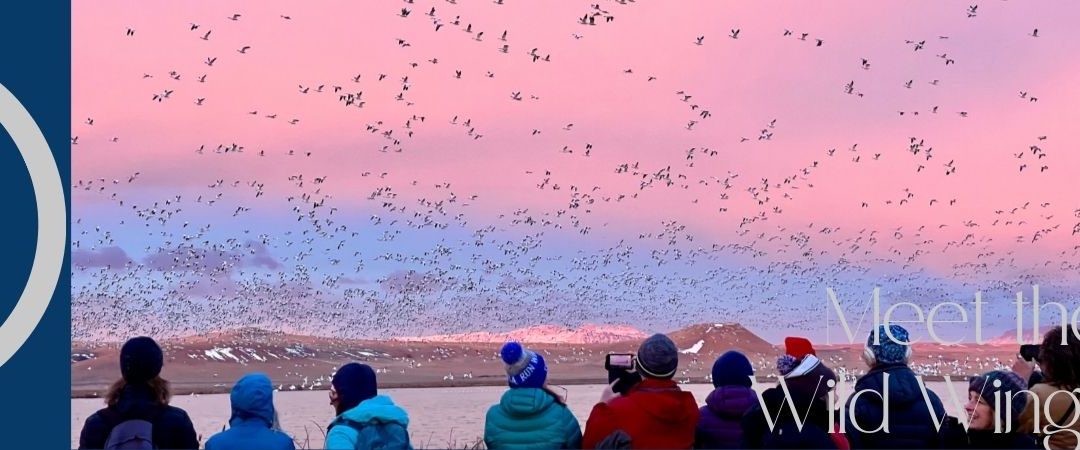 Episode 133- Meet the Birds at Wild Wings Festival